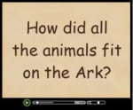 Noah's Ark - Watch this short video clip