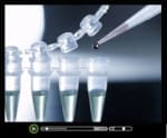 Pros and Cons of Stem Cell Research - Watch this short video clip